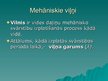 Prezentācija 'Mehāniskās svārstības un viļņi', 10.