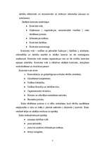 Referāts 'Iekšējā kontrole uzņēmumā', 3.