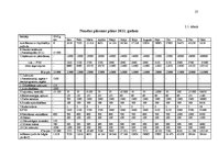 Biznesa plāns 'Biznesa plāns mazumtirdzniecības veikalam', 27.