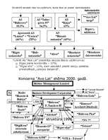 Referāts 'Koncerns', 4.