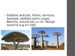 Prezentācija 'Āzijas stepes un savannas', 11.