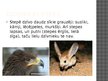 Prezentācija 'Āzijas stepes un savannas', 12.