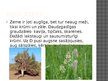 Prezentācija 'Āzijas stepes un savannas', 13.