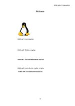 Referāts 'Linux operētājsistēma', 17.