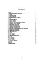 Referāts 'Rīgas sabiedriskā transporta raksturojums', 3.