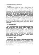 Referāts 'Rīgas sabiedriskā transporta raksturojums', 5.