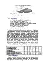 Referāts 'Rīgas sabiedriskā transporta raksturojums', 7.