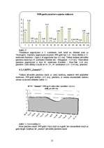 Referāts 'Rīgas sabiedriskā transporta raksturojums', 22.