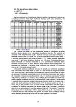 Referāts 'Rīgas sabiedriskā transporta raksturojums', 24.