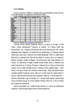 Referāts 'Rīgas sabiedriskā transporta raksturojums', 28.