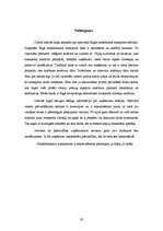 Referāts 'Rīgas sabiedriskā transporta raksturojums', 30.