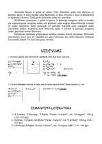 Referāts 'Šķidruma vai gāzes iedarbība uz tajā iegremdētu ķermeni', 3.