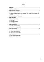 Biznesa plāns 'Uzņēmējdarbības plāns SIA "Brigantine"', 2.