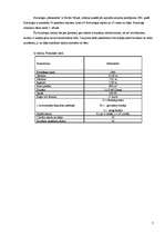 Biznesa plāns 'Uzņēmējdarbības plāns SIA "Brigantine"', 7.