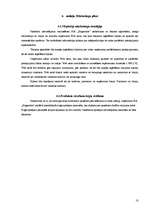 Biznesa plāns 'Uzņēmējdarbības plāns SIA "Brigantine"', 10.