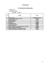 Biznesa plāns 'Uzņēmējdarbības plāns SIA "Brigantine"', 13.