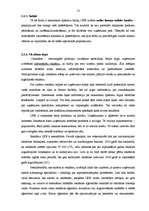 Referāts 'Jaunu produktu attīstība nekustamo īpašumu tirgū Liepājā', 13.