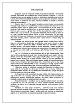 Konspekts 'Bruņinieki', 1.