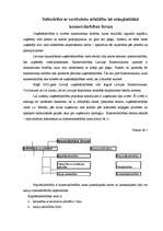 Referāts 'SIA kā visizplatītākā komercdarbības forma', 1.