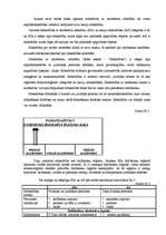 Referāts 'SIA kā visizplatītākā komercdarbības forma', 2.