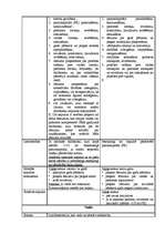 Referāts 'SIA kā visizplatītākā komercdarbības forma', 3.