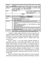 Referāts 'SIA kā visizplatītākā komercdarbības forma', 4.