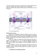 Konspekts 'Toksikokinētika', 6.