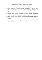 Referāts 'Latvijas pašvaldību tiesiskais stāvoklis', 19.