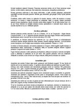 Konspekts 'Pieci Preiļu rajona tūrisma objekti', 2.