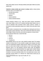 Konspekts 'Pasaules vēstures objekts, subjekts un periodizācija', 2.