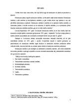 Referāts 'Testamentārā mantošana', 3.