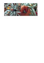 Konspekts 'Nodarbība 6-gadīgiem bērniem ar dabas dominanti "Sniegpārsliņu deja"', 8.