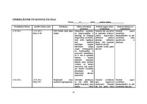 Paraugs 'Pacienta aprūpes vēsture', 20.