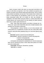 Referāts 'Valsts pazīmes un papildpazīmes', 3.