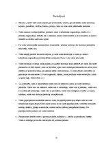 Referāts 'Valsts pazīmes un papildpazīmes', 13.