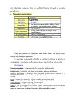 Referāts 'Mājas aprūpe', 9.