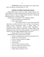 Referāts 'Speciālā pedagoģija', 10.