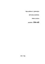 Referāts 'Zīda ceļš', 1.