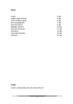 Referāts 'Zīda ceļš', 2.