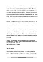 Referāts 'Zīda ceļš', 8.