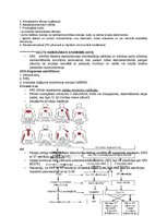 Konspekts 'Asinsspiediens', 7.