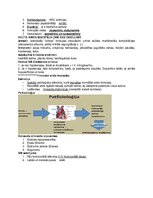 Konspekts 'Asinsspiediens', 17.