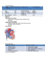 Konspekts 'Asinsspiediens', 18.