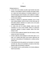 Referāts 'Latvijas darba likumu kodeksu pārkāpumi', 12.