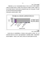 Referāts 'Nekustamā īpašuma tirgus Latvijā, Latgalē un Madonas rajonā', 32.