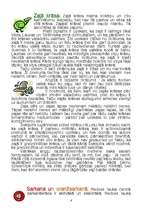 Referāts 'Krāsu iedarbība', 4.