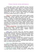 Referāts 'Krāsu iedarbība', 19.