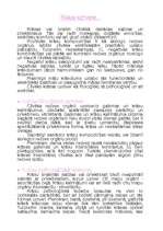 Referāts 'Krāsu iedarbība', 21.