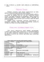 Referāts 'Krāsu iedarbība', 26.