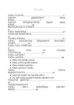 Referāts 'Krāsu iedarbība', 28.